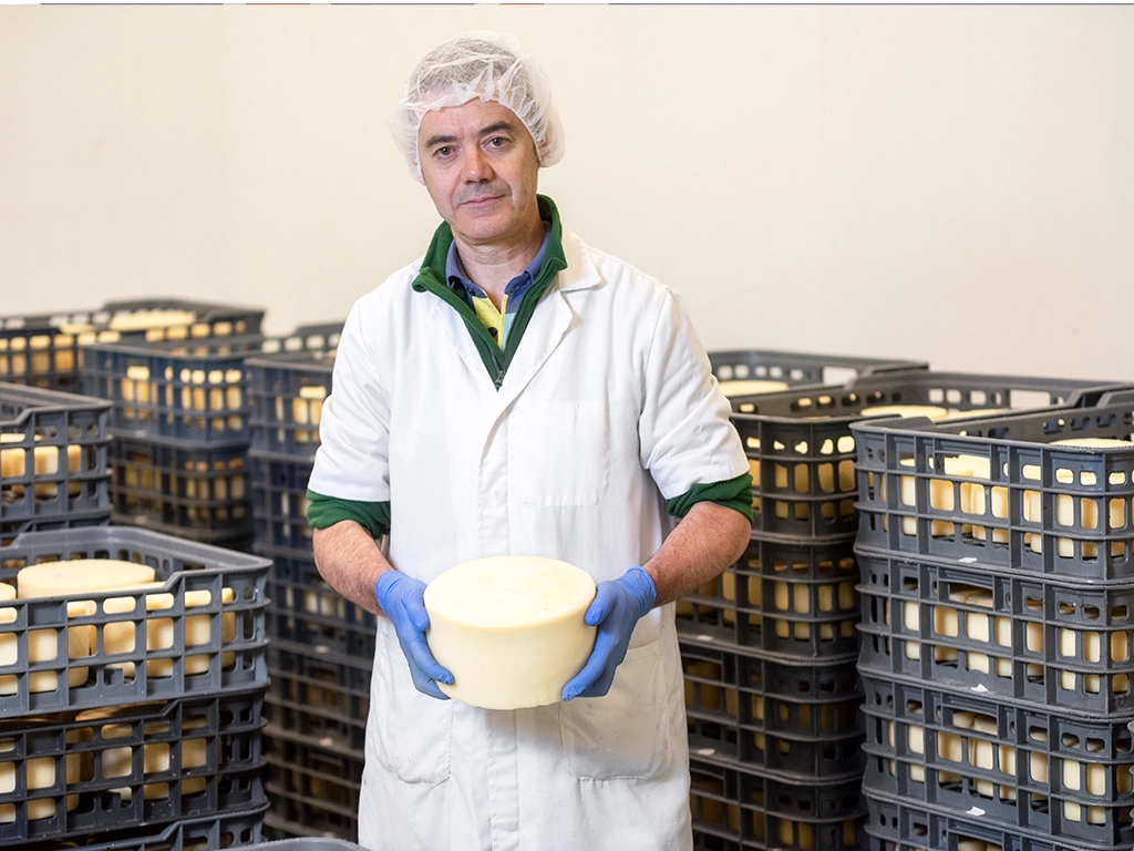 Shelf Stable Foods Export