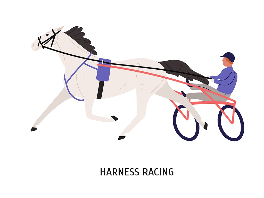 Carbon Fiber Racing Sulky